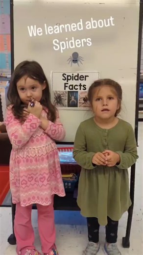 183 reactions · 17 comments | Our amazing pre-k students at Red Mill share some fun facts about spiders! ️ | East Greenbush Central School District | Facebook