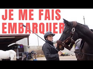 GOLDIE'S IN THE AIR 🐴💨🤣 (I promise the next vlog will be about JoeyStarr)