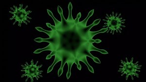 3D Virus And Bacteria Animation. Realistic Render. Microscopic View.