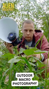 Outdoor macrophotography. #macro #macrophotography #raw_insects #raw_macro #insects #insect #macro_highlight #macro_royals #closeup #macro_brilliance #macro_perfection #przyroda #naturephotography #natureperfection #insect_of_our_world #reelsfacebook #reels | Alien Inventory