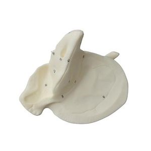 [Hot Item] Enlarged Temporal Bone Model Anatomical Model Medical Education Training Model