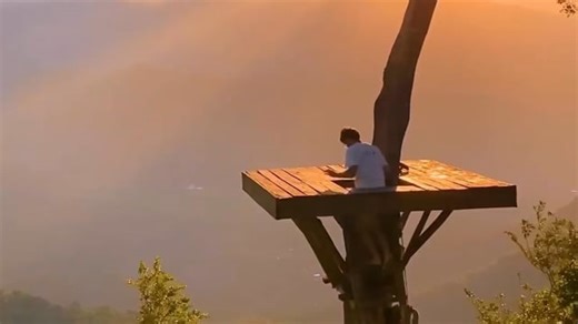 Tree, Hiking, Experience. Free Stock Video