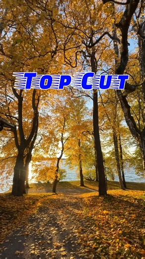 🍁 Leaf Mulching Season is Almost Here! 🍂 Starting November 3rd through December 31st, 2025, Top Cut Lawn Service will be offering our Leaf Mulching Program to keep your yard clean and your lawn healthy all season long! 💰 Save more with biweekly service! We offer discounted rates for biweekly mulching compared to one-time “as requested” cleanups — perfect for staying ahead of those falling leaves. 📞 Call or text 731-694-9070 💬 Message our page to discuss details or get your FREE quote today!