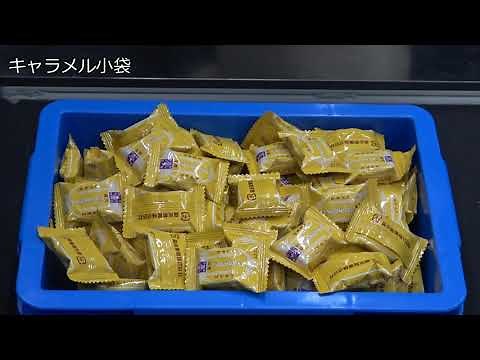 Bin Picking of Non-rigid Objects (非剛体物体のバラ積みピッキング)