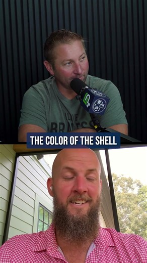 Did you know how to tell what color of egg a chicken lays?