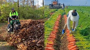 Ingenious Experts Displaying Insane Skills in Action