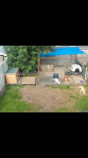 need a new set up, out grown its use before you judge me remember everyone has to start some were 👍