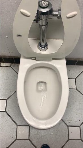 1960s Eljer Tacoma toilet