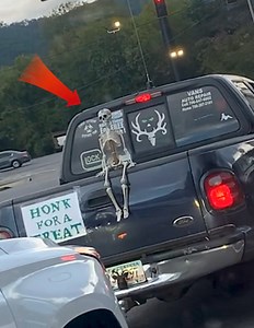 3.1M views · 10K reactions | Go ahead, make my day | Olivia Pierson | Facebook