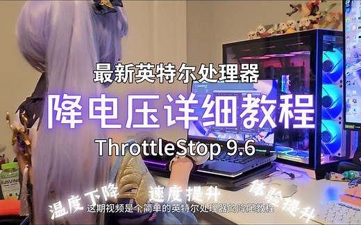 【教程】英特尔处理器降电压详细教程，ThrottleStop 9.6，开机自动启动，游戏本体检提升，温度下降，性能上升！