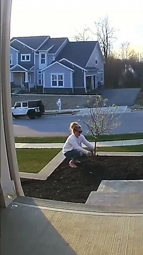 People definitely having a worse day than you... 🤣