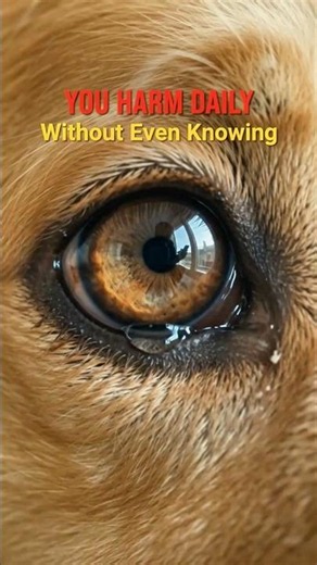 You're Harming Your Dog Without Realizing It
