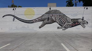 Before & after | Wide Open Walls murals