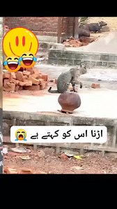 8.6K reactions · 221 shares | KB tour traveling Pakistan | Khuda Bakhsh | Facebook