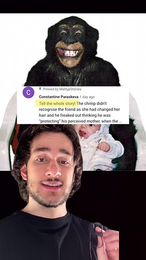 Travis the Chimp Attack (EXPLAINED)! 😨#theory#story