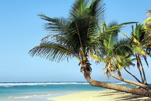 Amazing First 100 Free Stay AirBnb In Cuba! - Points Miles & Martinis