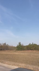 #pureMichigan fall color on I-75 | Myclosingthoughts