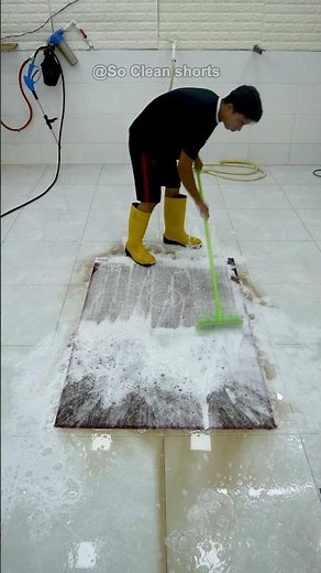 Best Carpet Cleaning Solutions: What Really Works #satisfying #carpetcleaning