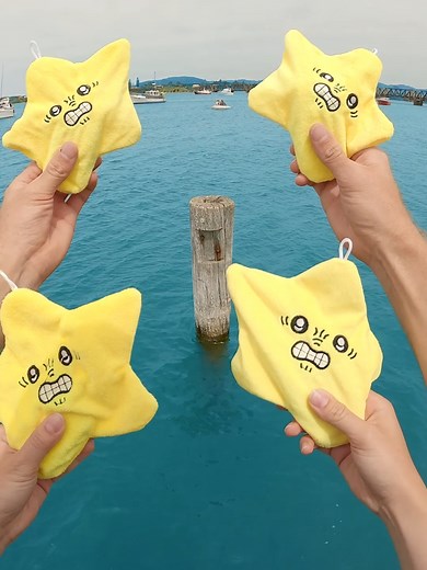 Engaging with Sharks: Starfish Challenge Insights