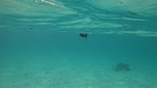 Some days we get other kinds of surprises!! 😂