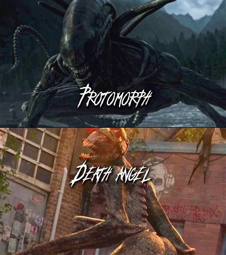 Protomorph vs death angel
