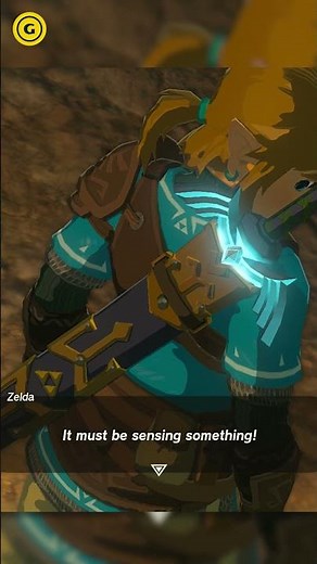 We Discovered A NEW Tears Of The Kingdom Easter Egg 1 Year Later