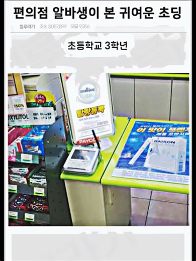 초등학생의 귀여운 김밥 이야기