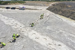 Dinosaur footprints discovered at Oxfordshire limestone quarry