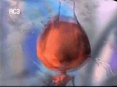 Antz - Z arrives in Insectopia