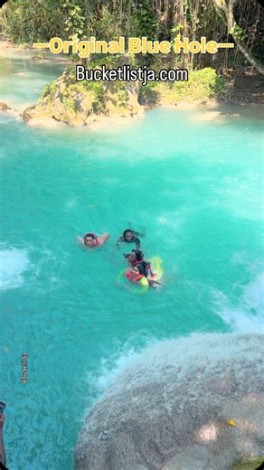 97 reactions · 12 comments | Book your group trip to Jamaica and dive...