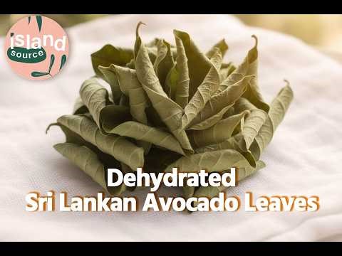 How To Use Avocado Leaves Tea & Cooking Ideas I Island Source