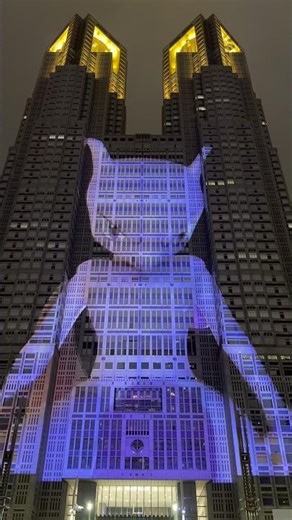 【都庁】ポケモンのプロジェクションマッピングが最高すぎた！！ #ポケモン #ポケカ #tokyonightandlight