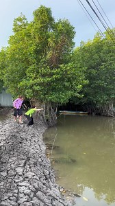 628K views · 7.7K reactions | Một ngàn lý do anh đặt ra | Bơ Kem | Facebook