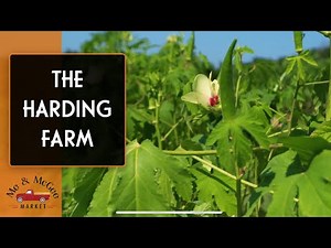 Discover the Ultimate Kitchen Garden | The Harding Farm Tour (Farm-to-Table Journey 2020)