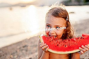 Предотвратете стълбите да потънат в земята от Maurice.yvette 🌿 Информация За Градинарство И Озеленяване - 2025