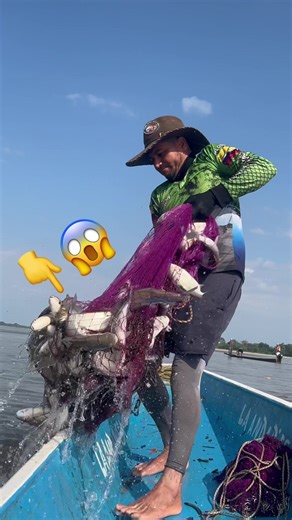 Simplifying the LIVE Incentive Program