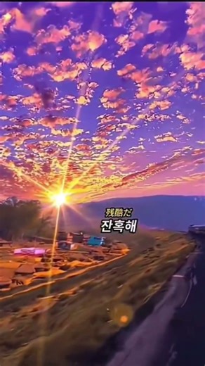 나는 가끔 눈물을 흘린다ㅠㅠ(출처:냥이뮤직)