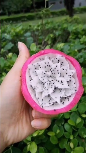 Creative Dragon Fruit Carving & Design