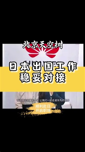 日本签证定制办理：适配不同出行场景与时长 #日本签证材料准备 #2025日本签证申请 #日本签证 #2025日本签证办理