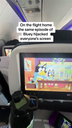 Bluey Takeover on the Plane