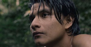 Dia da Amazônia: 4 documentários para entender a importância da floresta