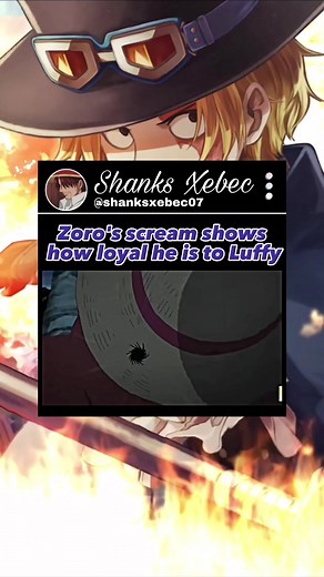 Zoro's Loyalty to Luffy Shown Through Powerful Scream