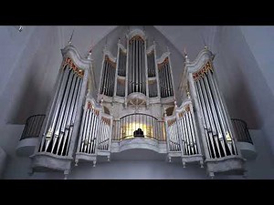 Felix Mendelssohn - Organ Sonata​ in D minor, op. 65 No. 6 - J.B. Robin (Mariager, Denmark)