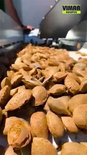 Limpiadora de almendra especializada Tersum