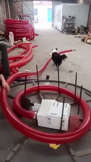 This Red Plastic Pipe Roll Effortlessly Through a Metal Frame