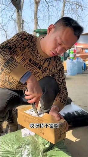 how to catch trout in a river #fishing #net #fishvideo