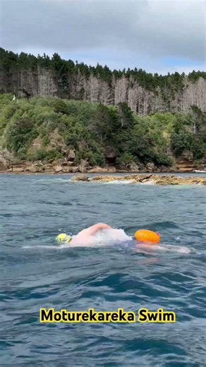 Moturekareka swim Joshua Vegar #nz #kiwiswim