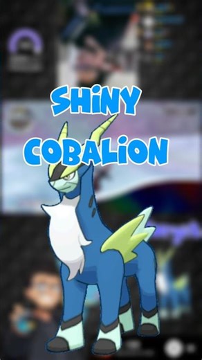 Shiny Cobalion ! #pokemon #pokemonchannel #shinypokemon #pokemonza #cobalion
