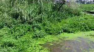 2.2K views · 13 reactions | #Video : Encroachers and Land Mafia...