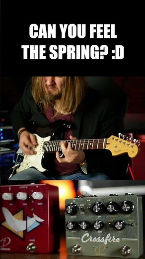 Stevie Ray Vaughan Tin Pan Alley #guitar #blues #fender #guitarist #bluesguitar #srv